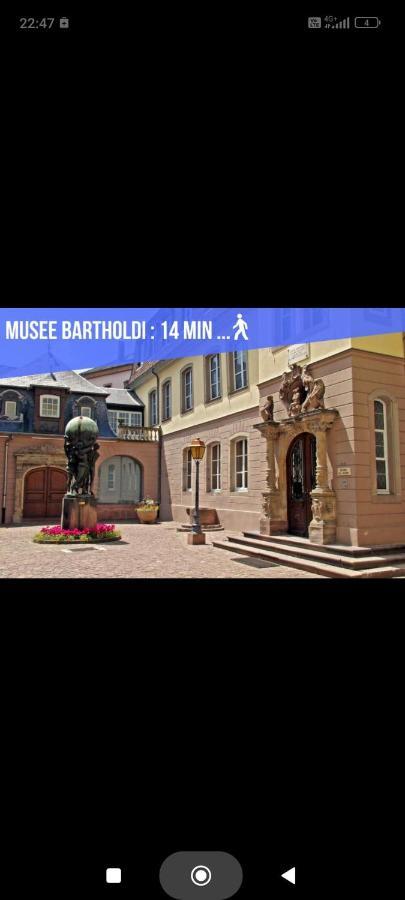 Refuge Ladhof Odysalis I Chic-Moderne-Proche Du Centre-Ville 3 Pieces 2 Chambres 콜마 외부 사진